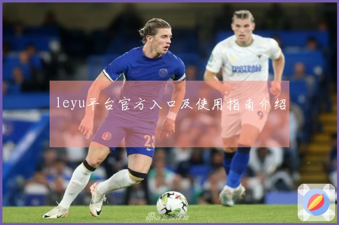 leyu平台官方入口及使用指南介绍