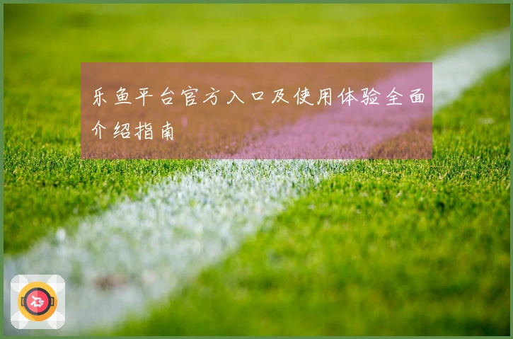 乐鱼平台官方入口及使用体验全面介绍指南