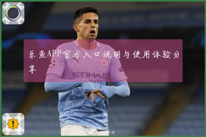 乐鱼APP官方入口说明与使用体验分享