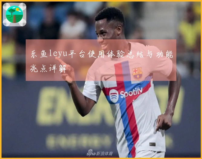 乐鱼leyu平台使用体验总结与功能亮点详解