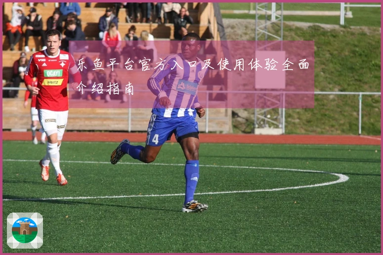 乐鱼平台官方入口及使用体验全面介绍指南