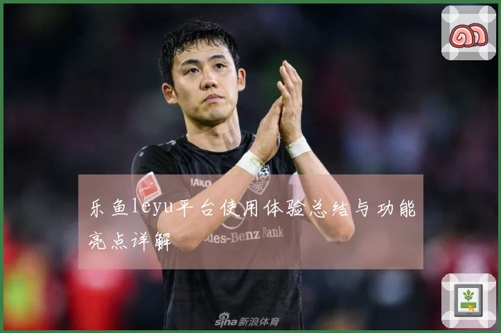 乐鱼leyu平台使用体验总结与功能亮点详解