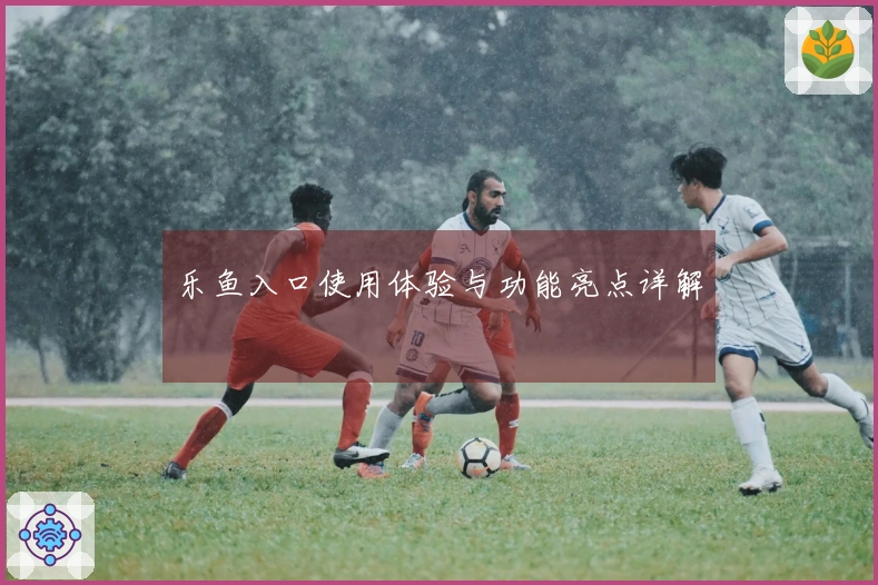 乐鱼入口使用体验与功能亮点详解