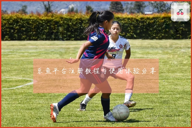 乐鱼平台注册教程与使用体验分享