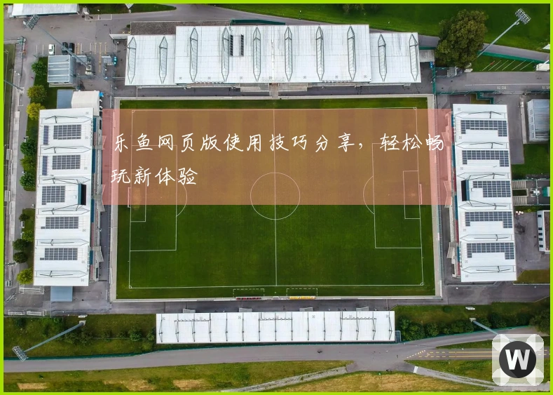 乐鱼网页版使用技巧分享，轻松畅玩新体验