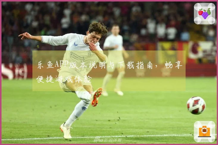 乐鱼APP版本说明与下载指南，畅享便捷游戏体验