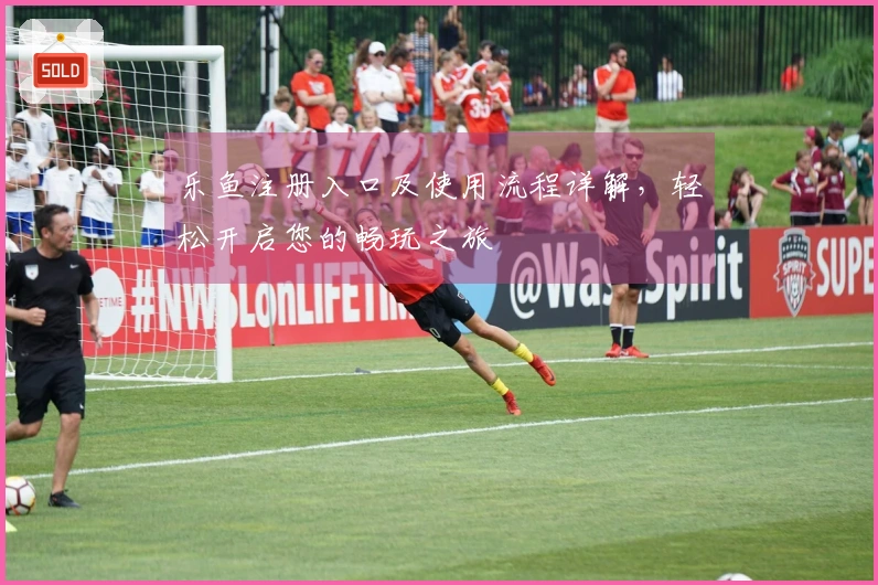 乐鱼注册入口及使用流程详解，轻松开启您的畅玩之旅