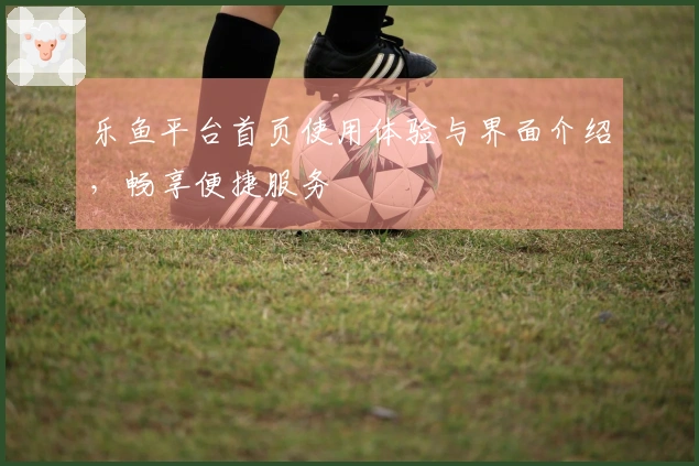 乐鱼平台首页使用体验与界面介绍，畅享便捷服务